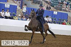 12r12_1572 proof