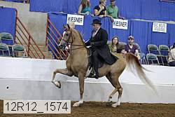 12r12_1574 proof
