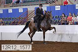 12r12_1577 proof