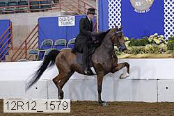 12r12_1579 proof