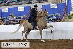 12r12_1582 proof