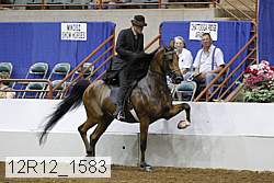12r12_1583 proof