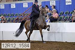 12r12_1584 proof