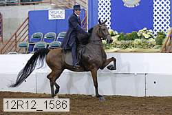 12r12_1586 proof