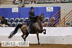 12r12_1587 proof