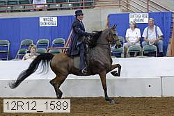 12r12_1589 proof