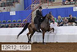 12r12_1591 proof