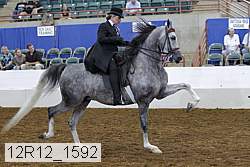 12r12_1592 proof