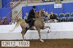 12r12_1593 proof
