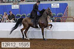 12r12_1595 proof