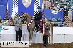 12r12_1599 proof