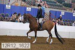 12r12_1622 proof