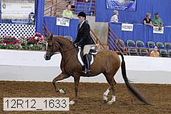 12r12_1633 proof