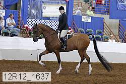 12r12_1637 proof
