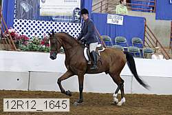 12r12_1645 proof