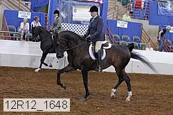 12r12_1648 proof