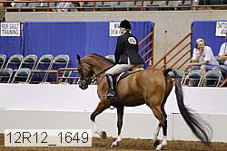 12r12_1649 proof