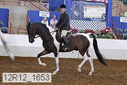12r12_1653 proof