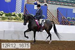 12r12_1675 proof