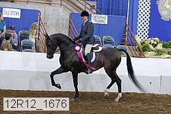 12r12_1676 proof