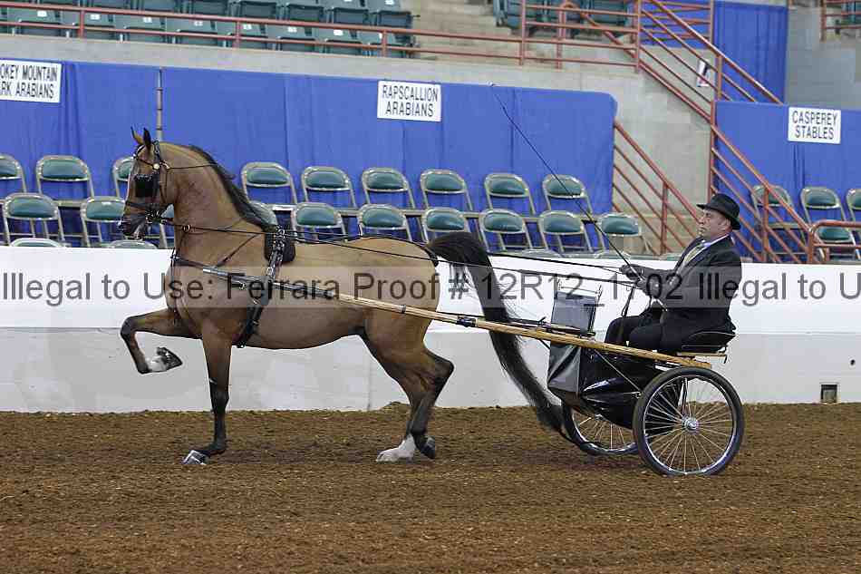 Proof 12r12_1702