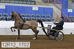 12r12_1702 proof