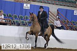 12r12_1706 proof