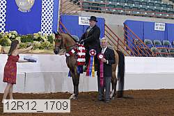 12r12_1709 proof