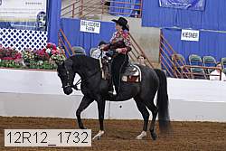 12r12_1732 proof