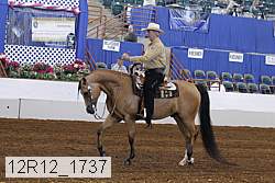 12r12_1737 proof