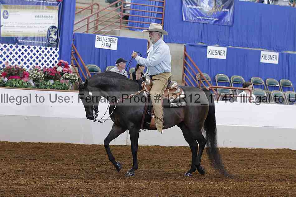 Proof 12r12_1748