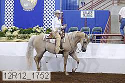 12r12_1752 proof