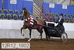 12r12_1802 proof
