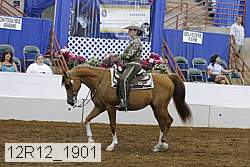 12r12_1901 proof