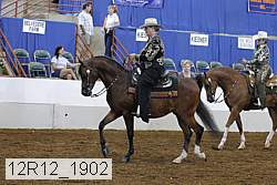 12r12_1902 proof