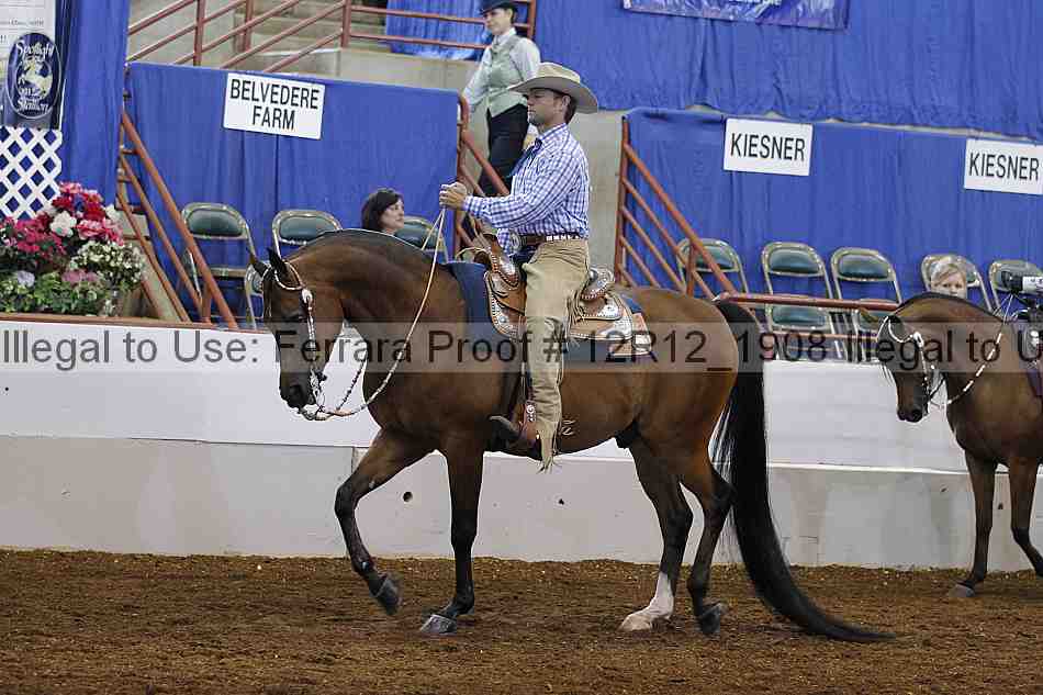 Proof 12r12_1908