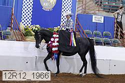 12r12_1966 proof
