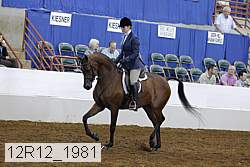 12r12_1981 proof