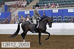 12r12_2003 proof