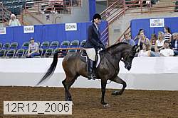 12r12_2006 proof