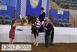 12r12_2013 proof