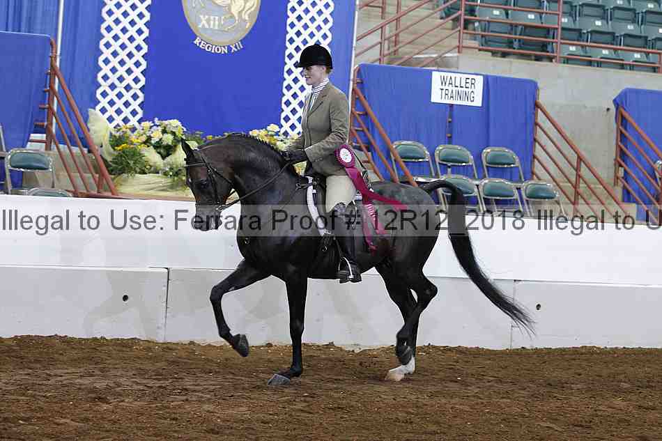 Proof 12r12_2018