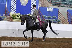 12r12_2018 proof