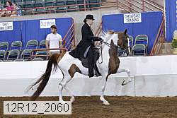 12r12_2060 proof