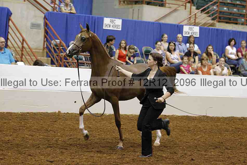 Proof 12r12_2096