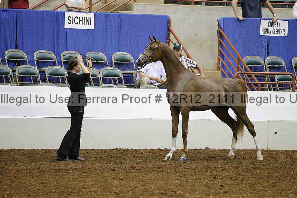 Proof 12r12_2111