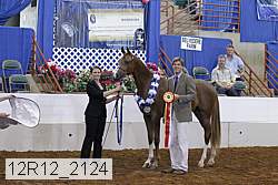 12r12_2124 proof