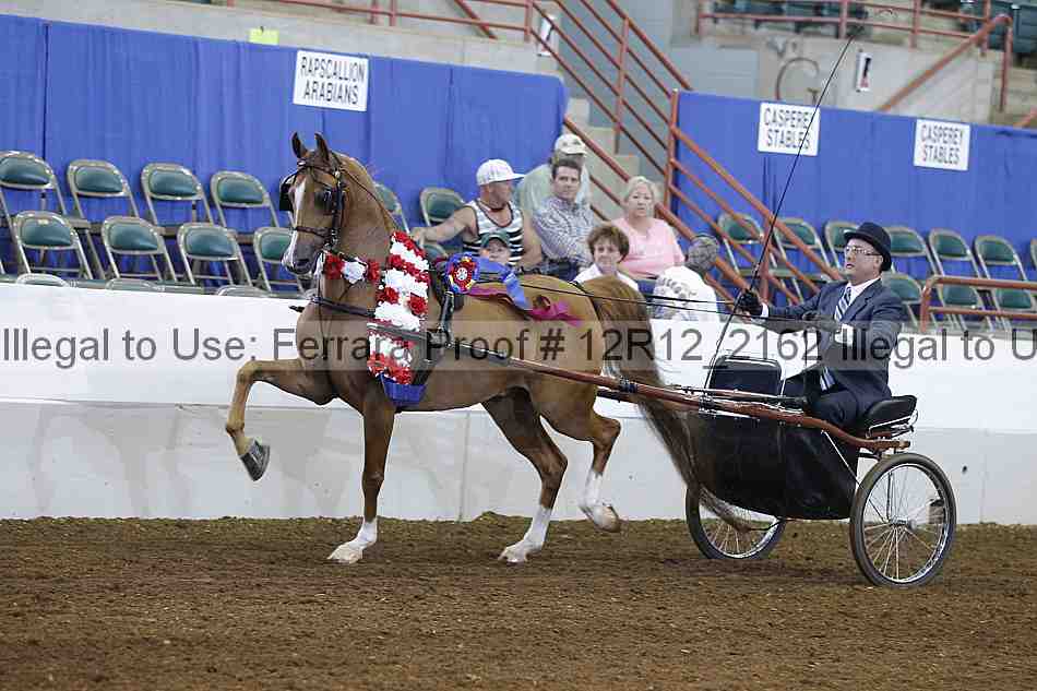 Proof 12r12_2162
