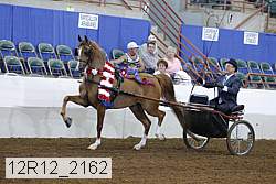 12r12_2162 proof