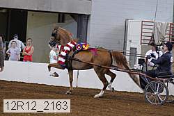 12r12_2163 proof